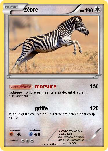 Pokemon zébre
