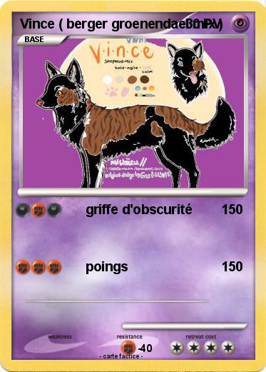 Pokemon Vince ( berger groenendael mix )