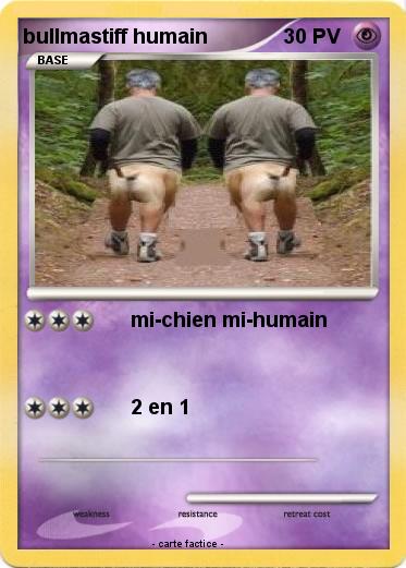 Pokemon bullmastiff humain