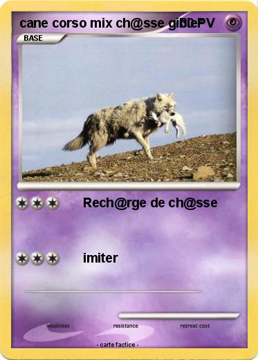 Pokemon cane corso mix ch@sse gibier