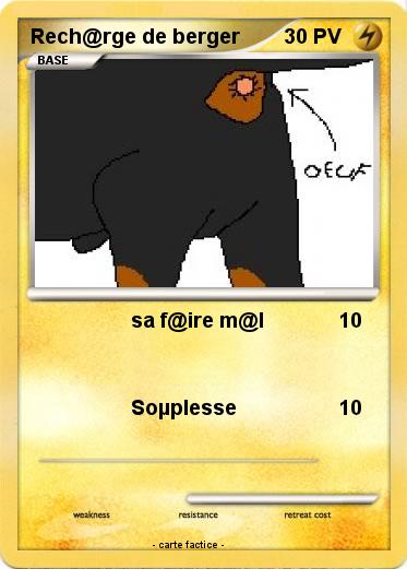Pokemon Rech@rge de berger