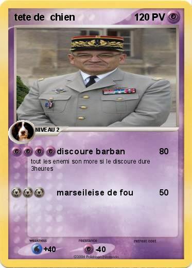 Pokemon tete de  chien