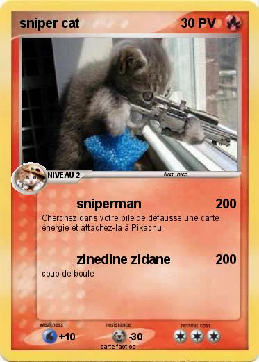 Pokemon sniper cat