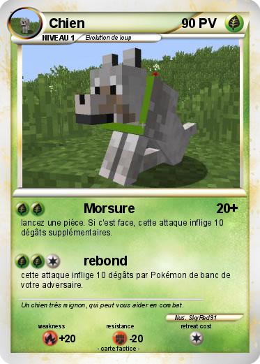Pokemon Chien