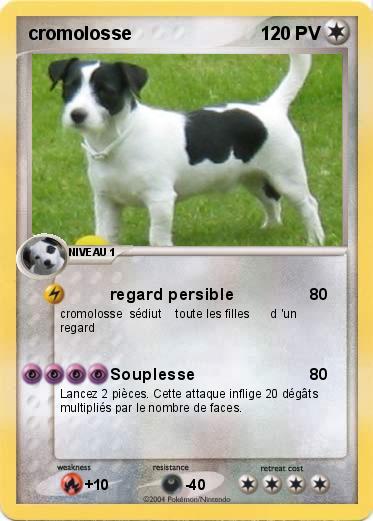 Pokemon cromolosse