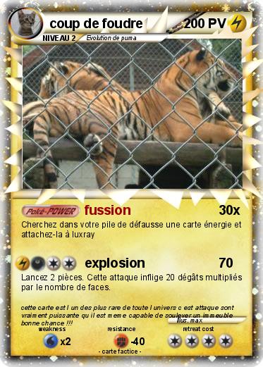 Pokemon coup de foudre