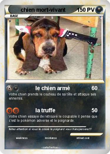 Pokemon chien mort-vivant