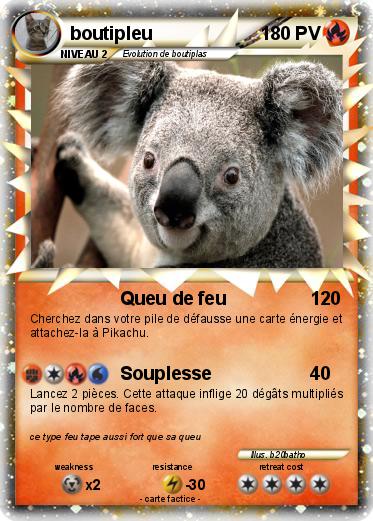 Pokemon boutipleu