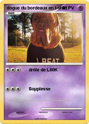 Pokemon dogue du bordeaux en t-shirt