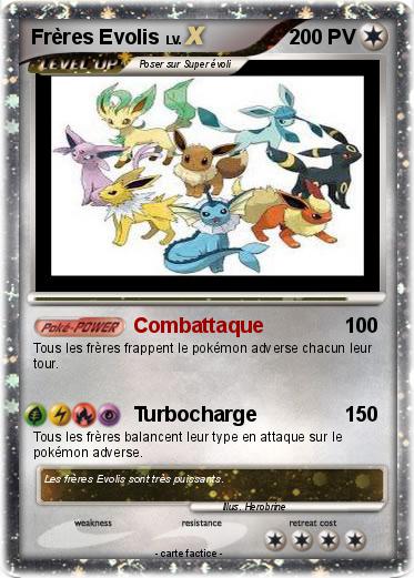 Pokemon Frères Evolis
