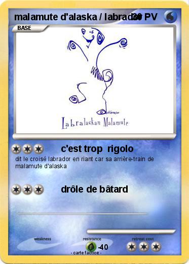 Pokemon malamute d'alaska / labrador
