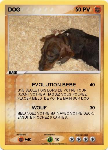 Pokemon DOG