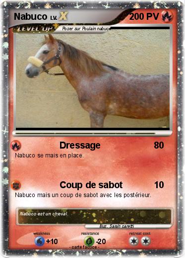 Pokemon Nabuco