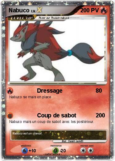 Pokemon Nabuco