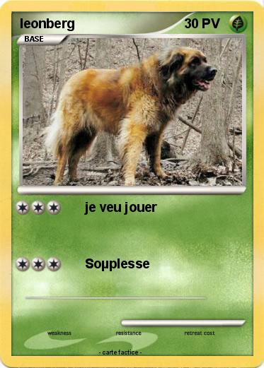 Pokemon leonberg