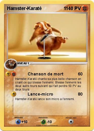 Pokemon Hamster-Karaté                 1