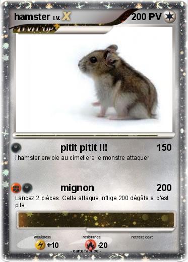 Pokemon hamster