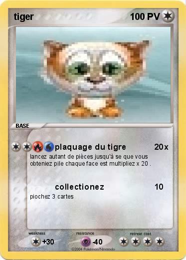 Pokemon tiger