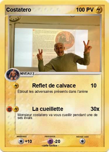 Pokemon Costatero