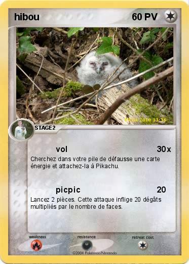Pokemon hibou
