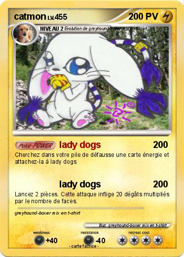 Pokemon catmon