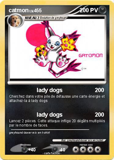 Pokemon catmon