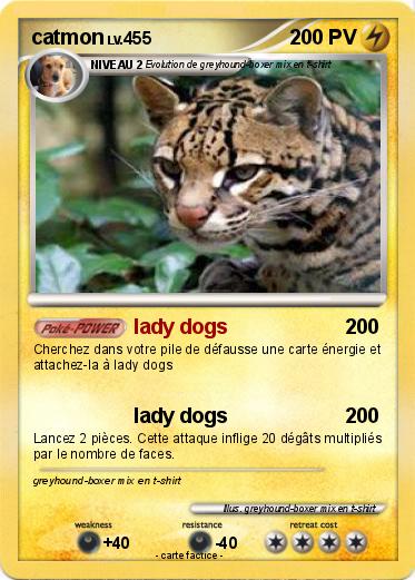 Pokemon catmon
