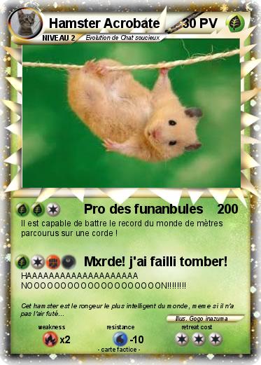 Pokemon Hamster Acrobate