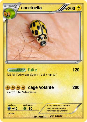 Pokemon coccinella