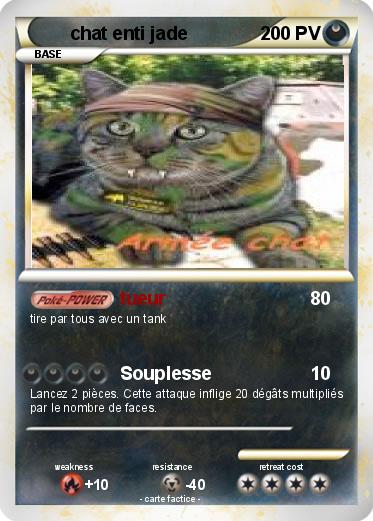 Pokemon chat enti jade