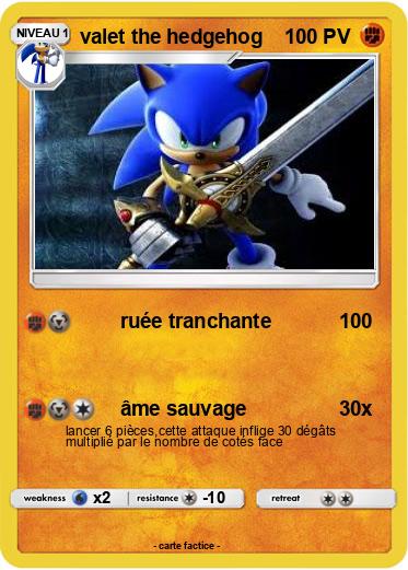 Pokemon valet the hedgehog