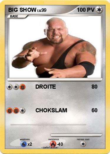 Pokemon BIG SHOW