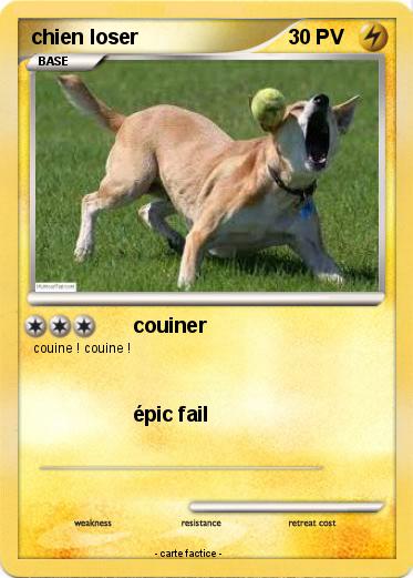 Pokemon chien loser