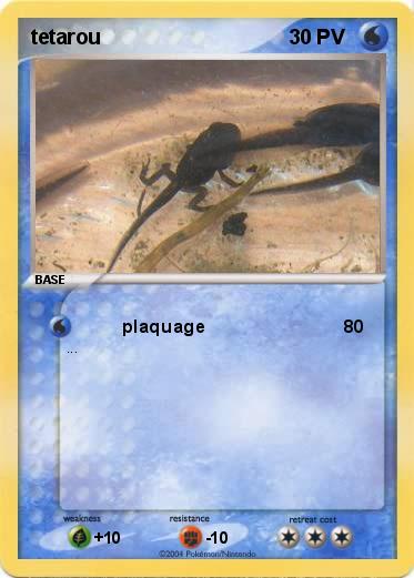 Pokemon tetarou