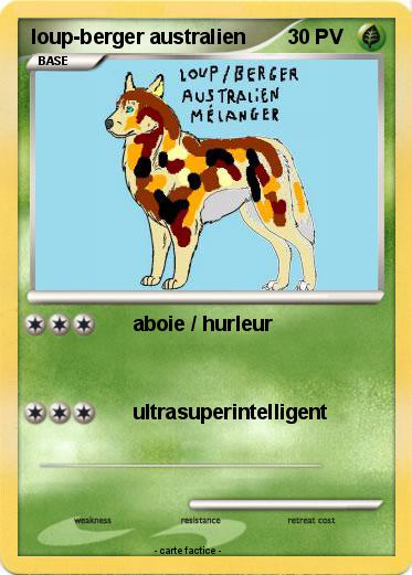 Pokemon loup-berger australien