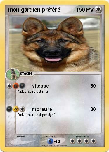 Pokemon mon gardien préféré