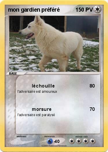 Pokemon mon gardien préféré