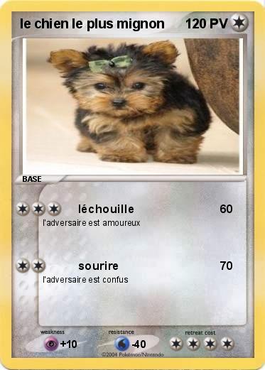 Pokemon le chien le plus mignon