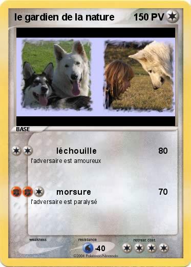 Pokemon le gardien de la nature