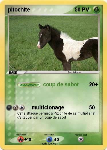 Pokemon pitochite