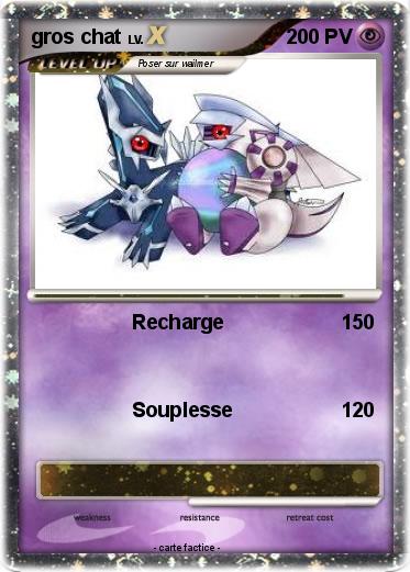 Pokemon gros chat