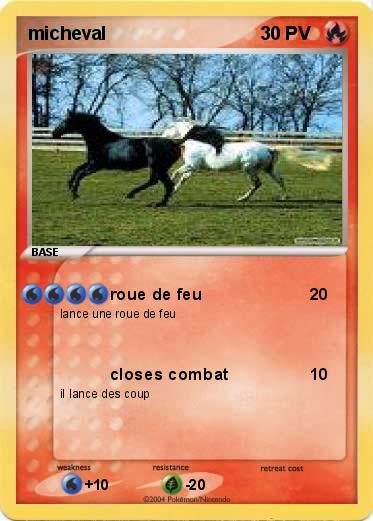 Pokemon micheval