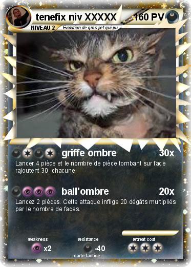 Pokemon tenefix niv XXXXX