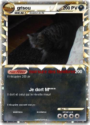 Pokemon grisou