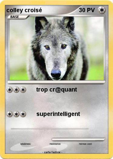 Pokemon colley croisé