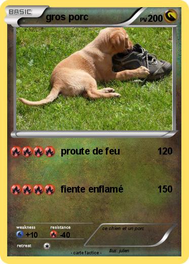 Pokemon gros porc