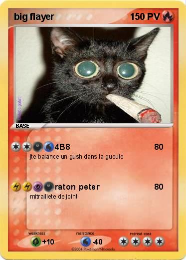 Pokemon big flayer