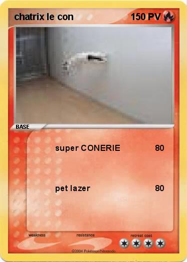 Pokemon chatrix le con
