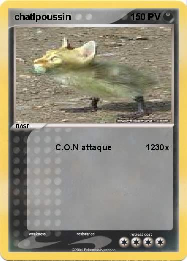 Pokemon chatlpoussin