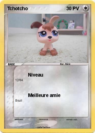 Pokemon Tchotcho